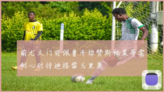 前尤文门将佩鲁济称赞斯帕莱蒂需耐心对待迪格雷戈里奥